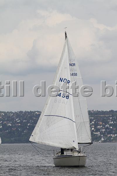 Bundefjorden2012 294.jpg